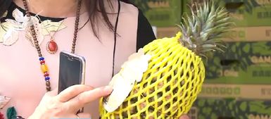 推動(dòng)廈門高雄農(nóng)漁產(chǎn)品采購協(xié)議落地 高雄特色農(nóng)產(chǎn)陸續(xù) 登鷺